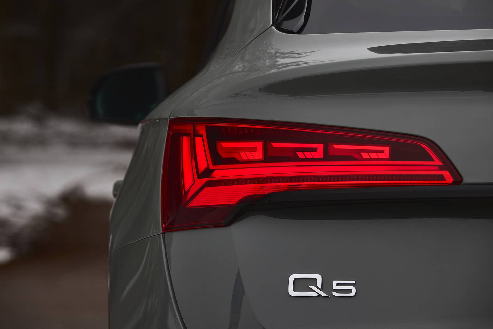2021 Audi Q5 exterior RBDG