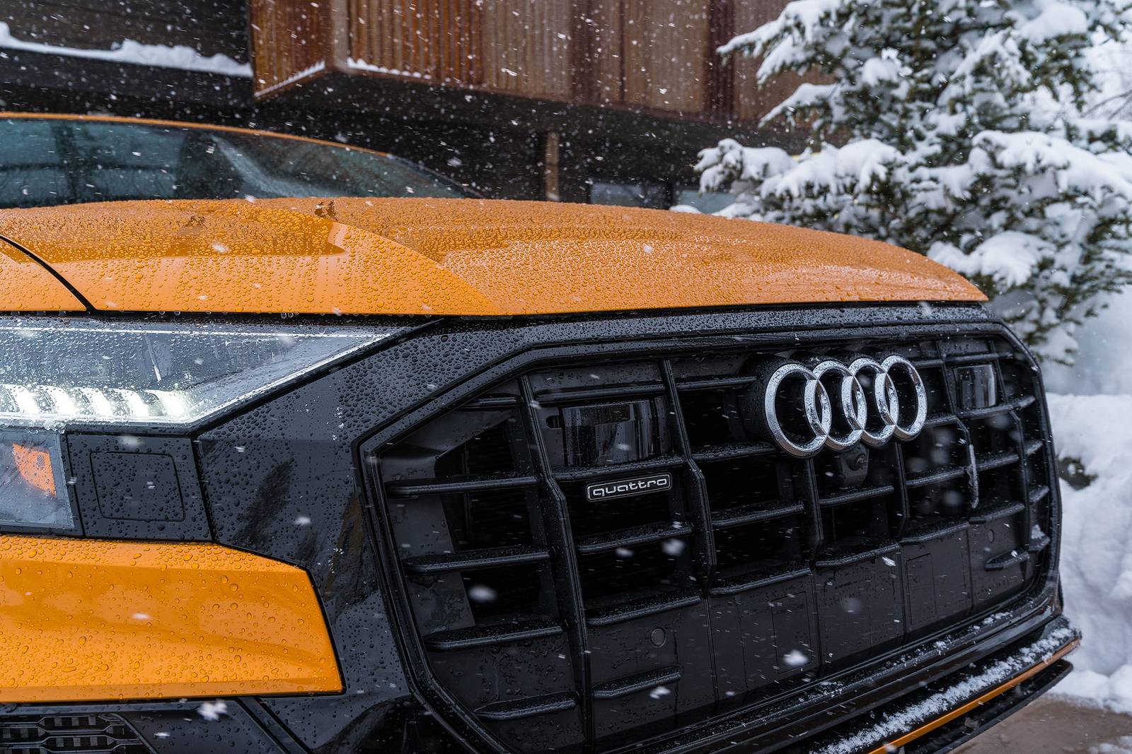 2022 Audi Q8 front safety FBDG