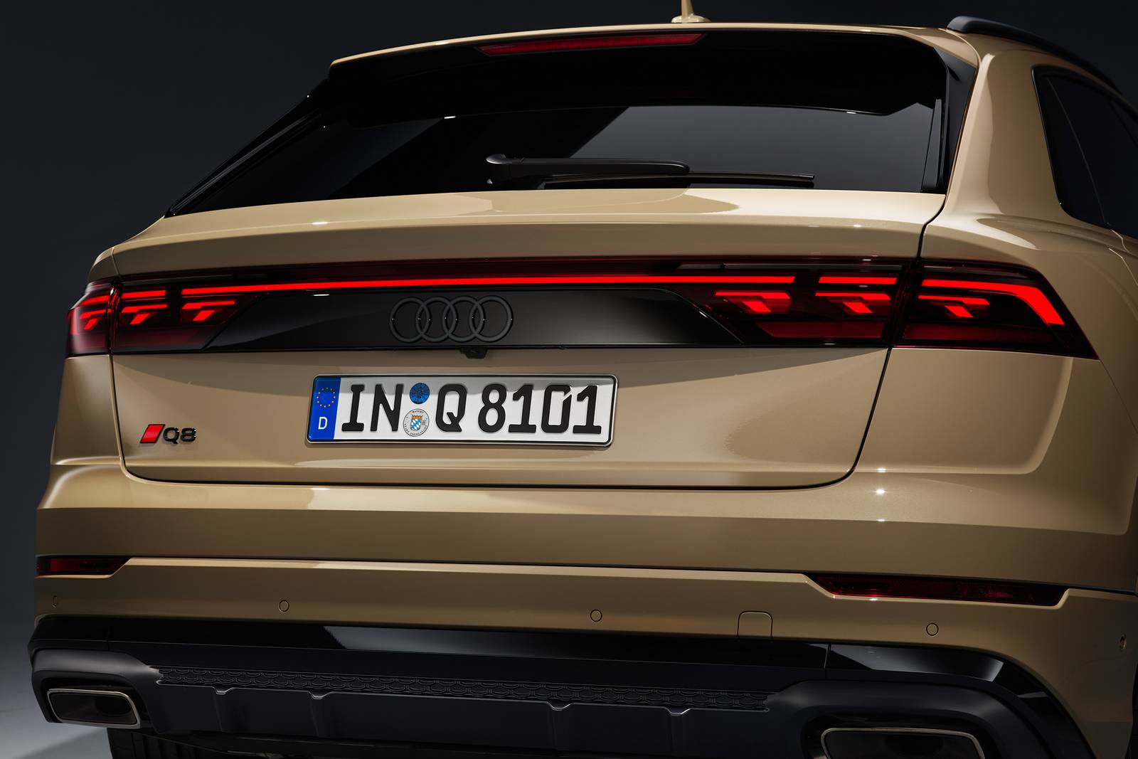 2024 Audi Q8 exterior RBDG