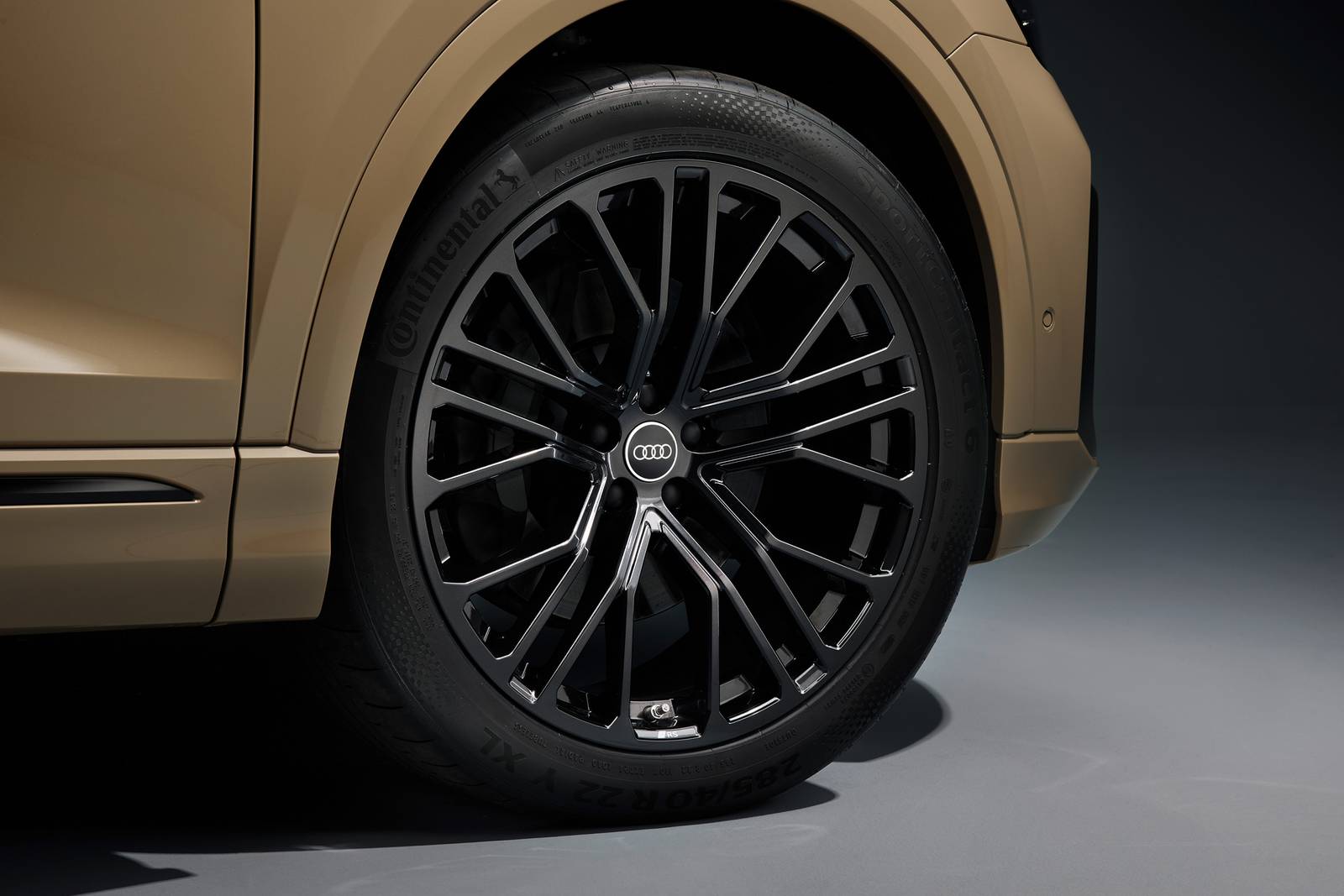 2024 Audi Q8 exterior W