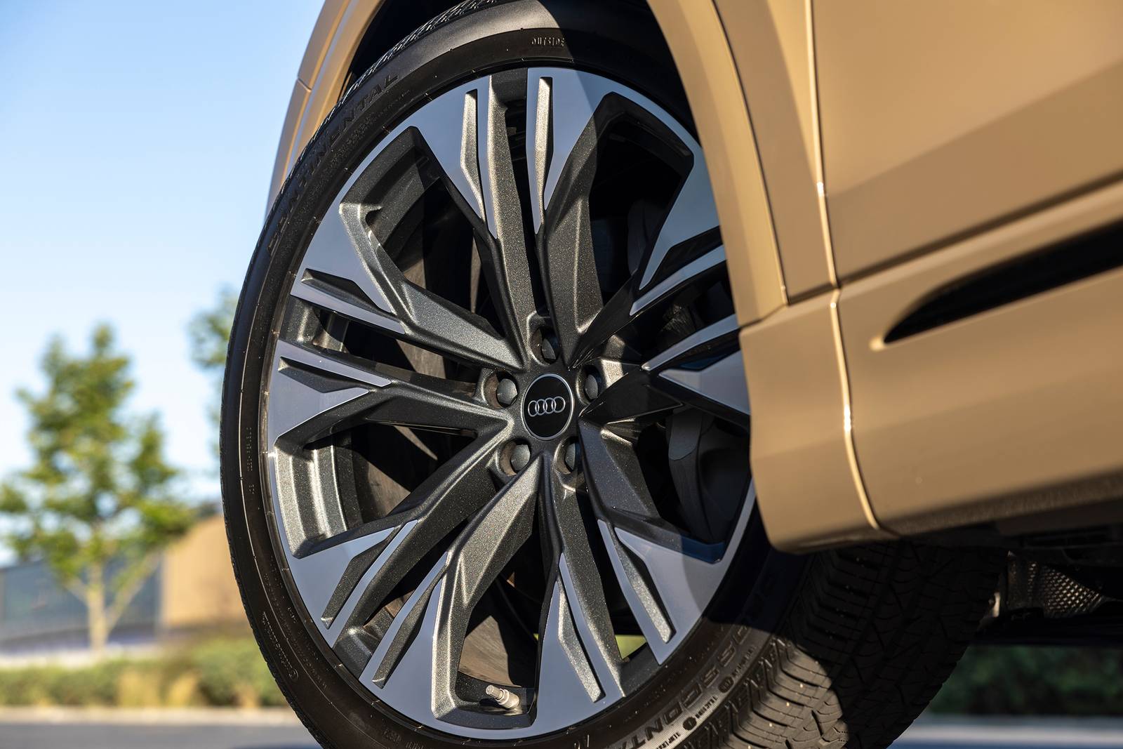 2025 Audi Q8 exterior EDETAIL