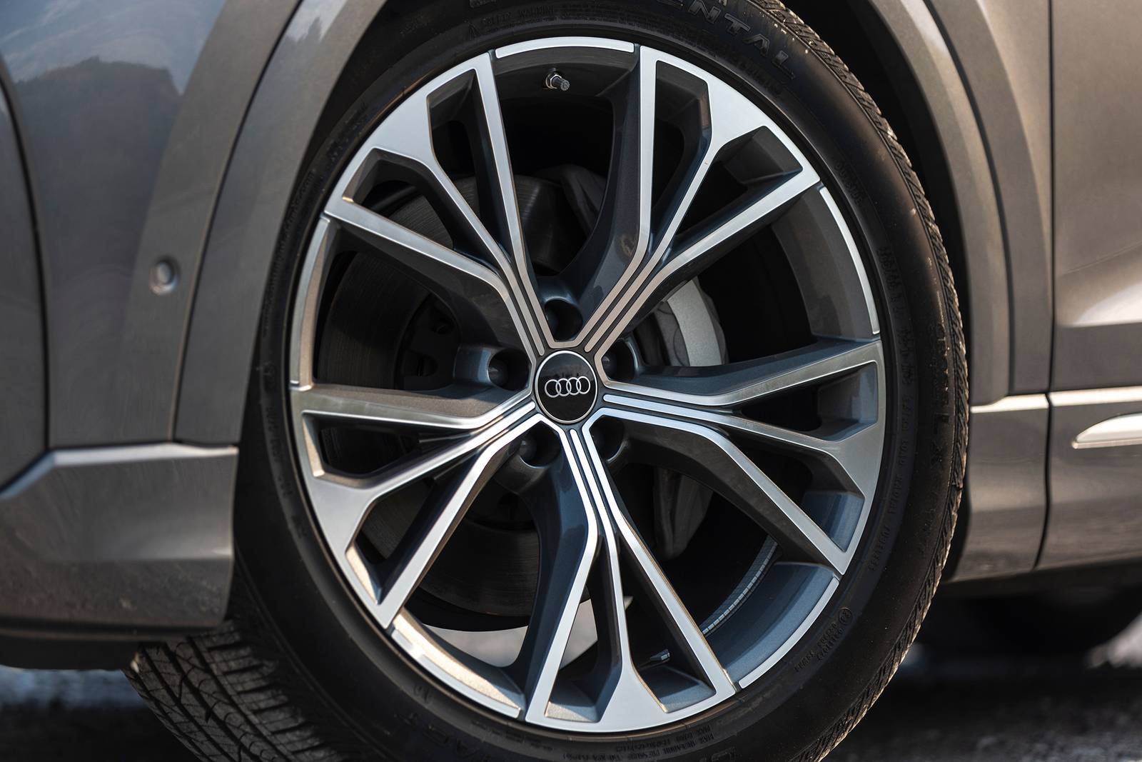 2025 Audi Q8 exterior EDETAIL