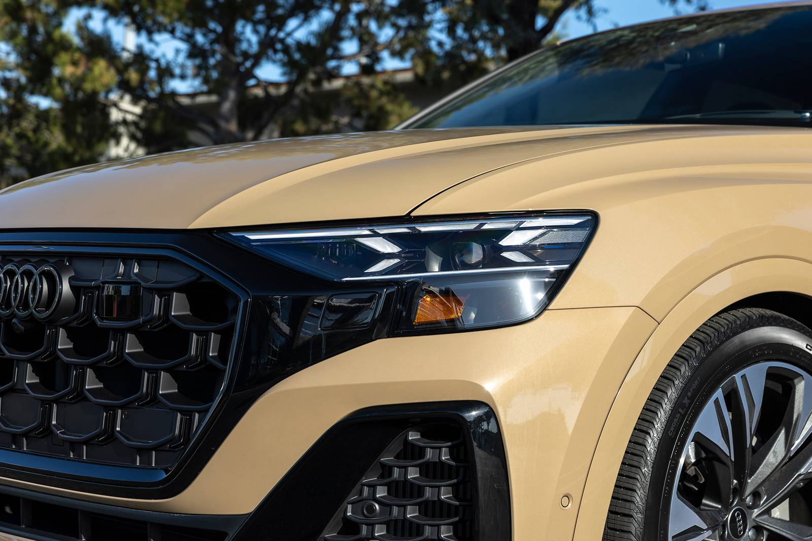 2025 Audi Q8 exterior EDETAIL