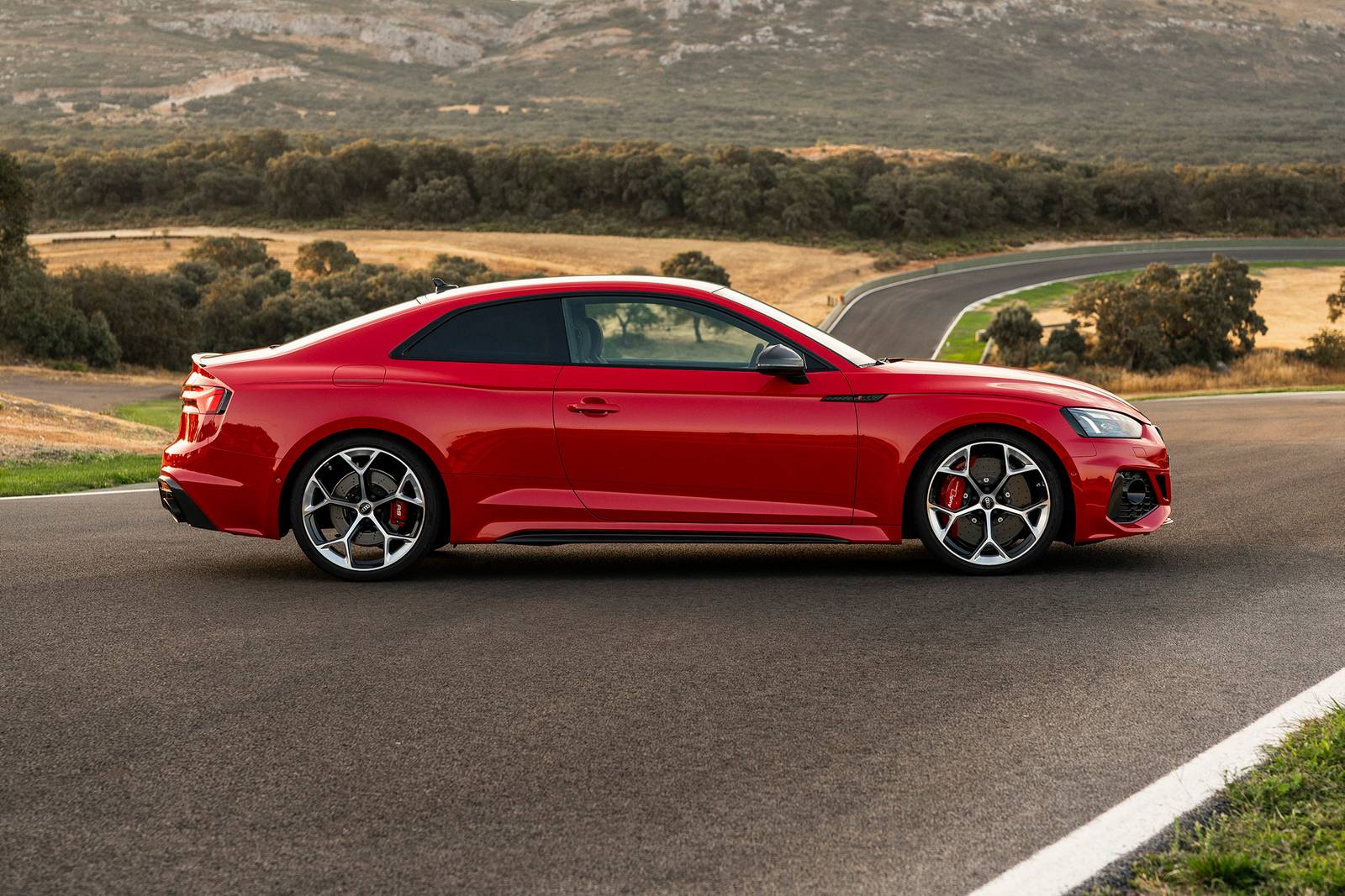 Audi RS 5 Coupe Profile. Competition Package Shown.
