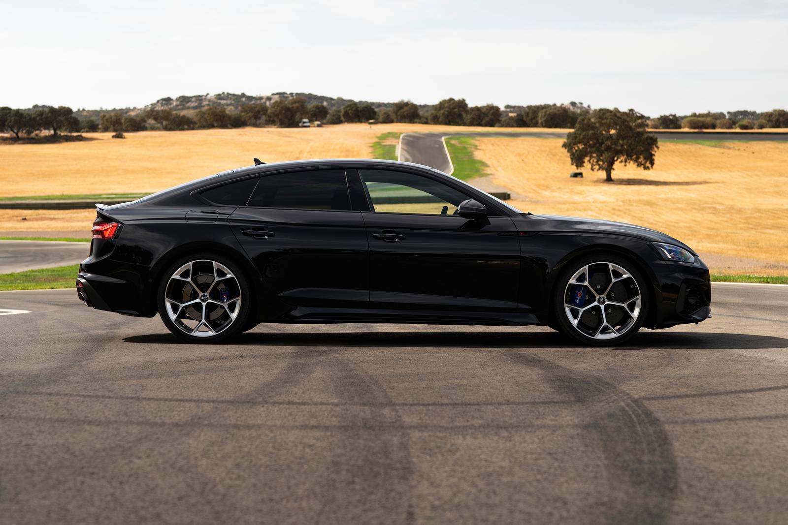 2025 Audi RS 5 4dr Hatchback Profile. Competition Package Shown.