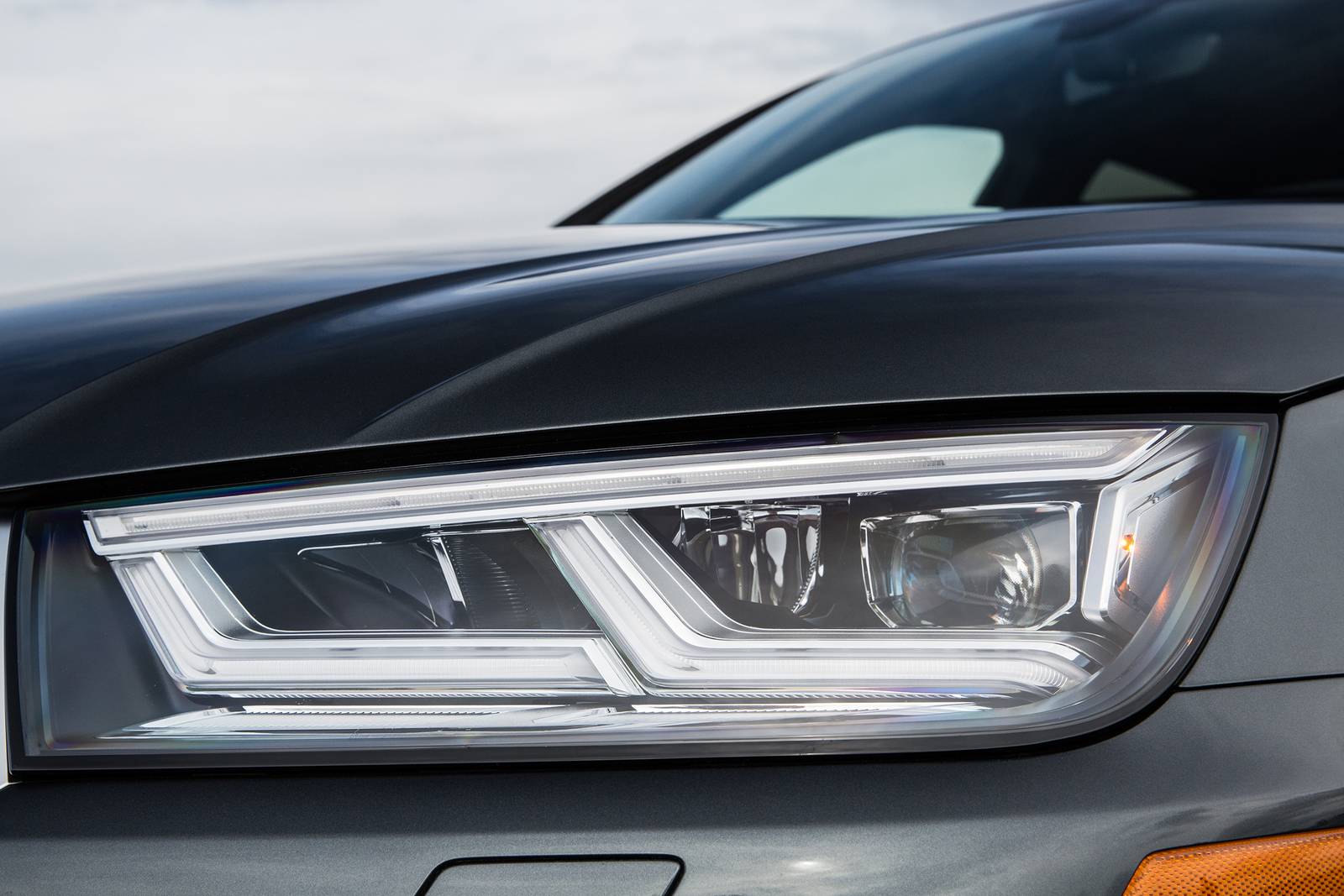 2019 Audi SQ5 exterior EDETAIL