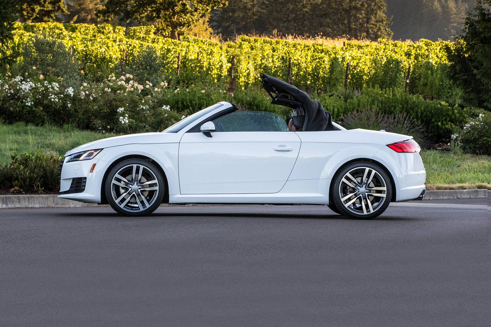 2019 Audi TT 2.0 TFSI quattro Convertible Profile Shown