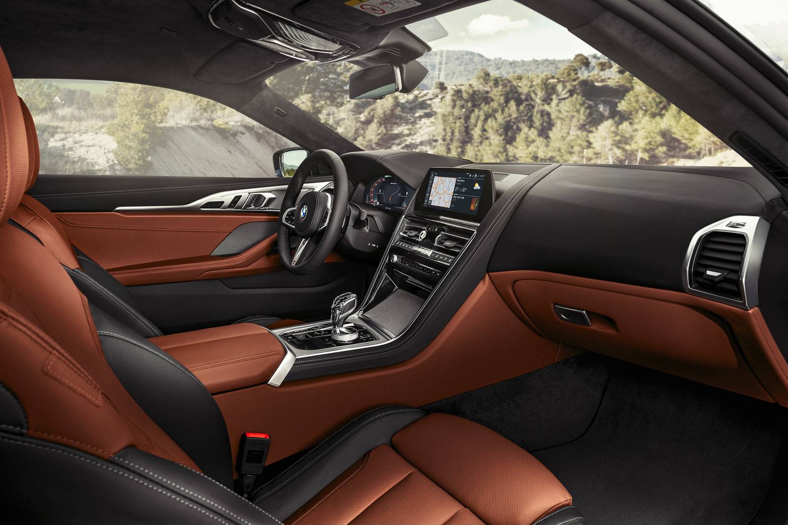 2021 BMW 8 Series interior D