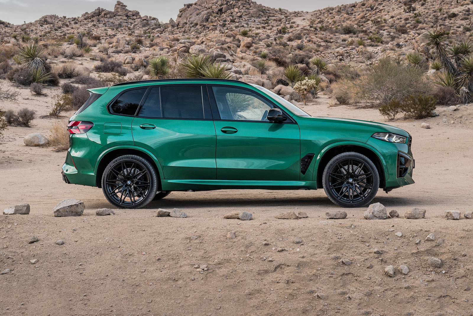 2025 Bmw X5 exterior S