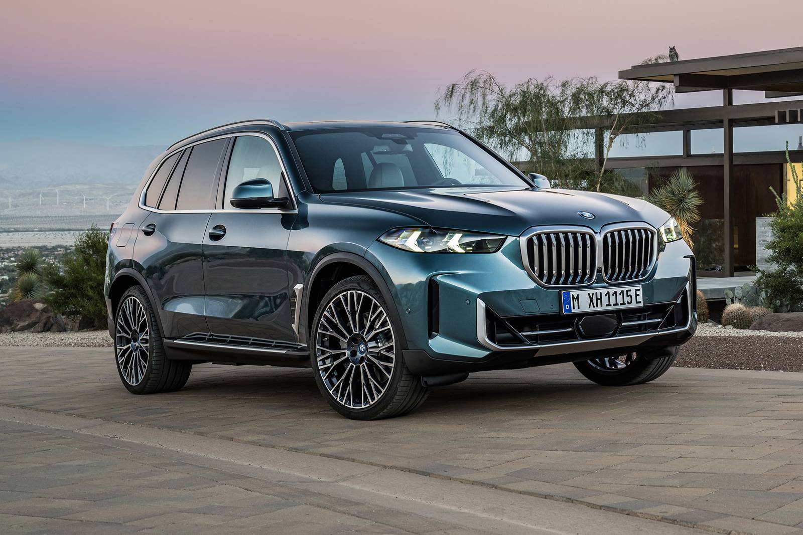 2024 Bmw X5 exterior FQ