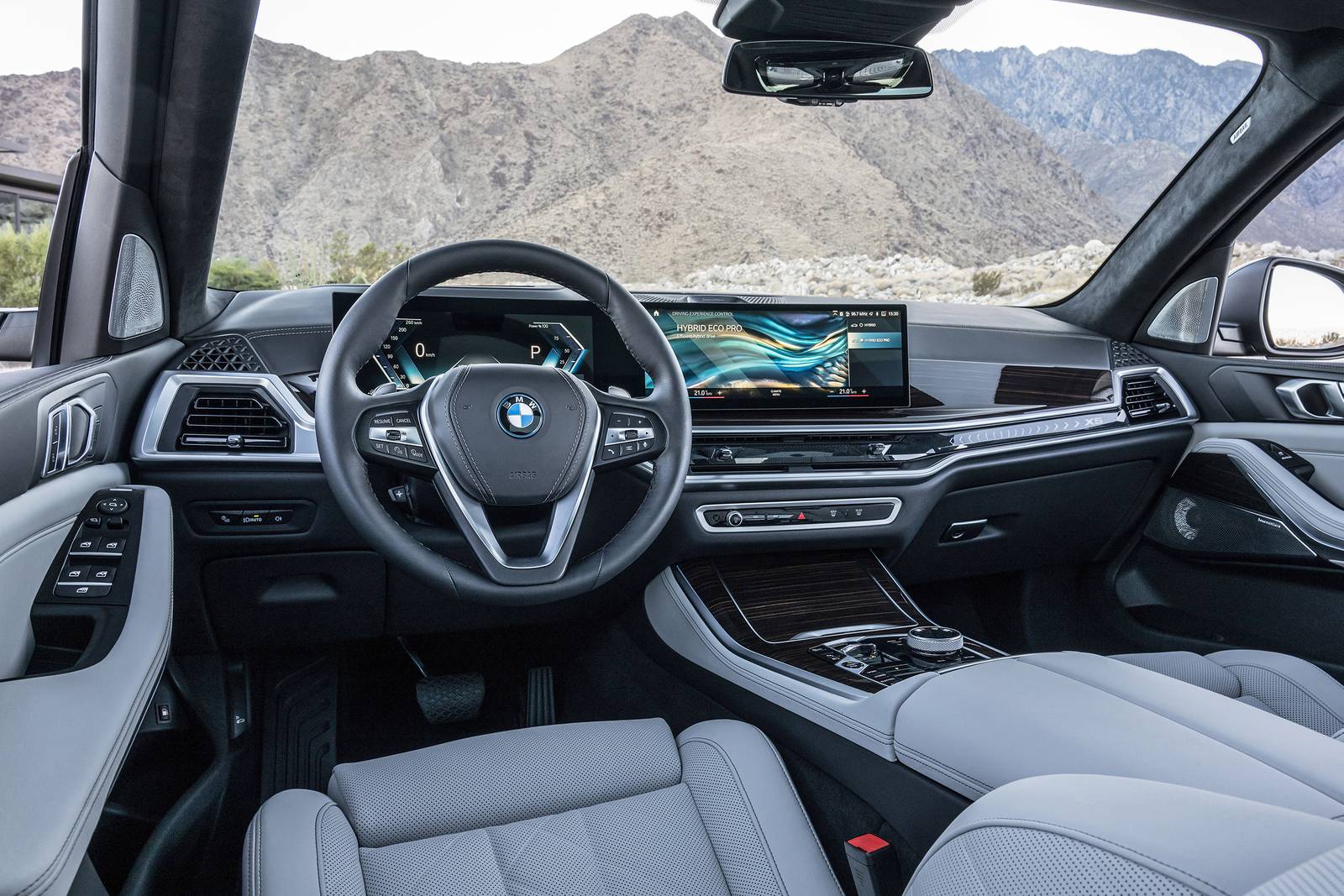 2024 Bmw X5 interior SWD