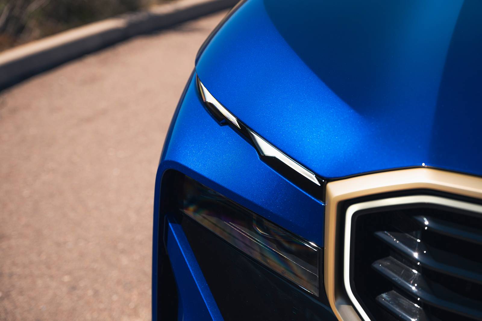 2025 BMW XM front safety EDETAIL