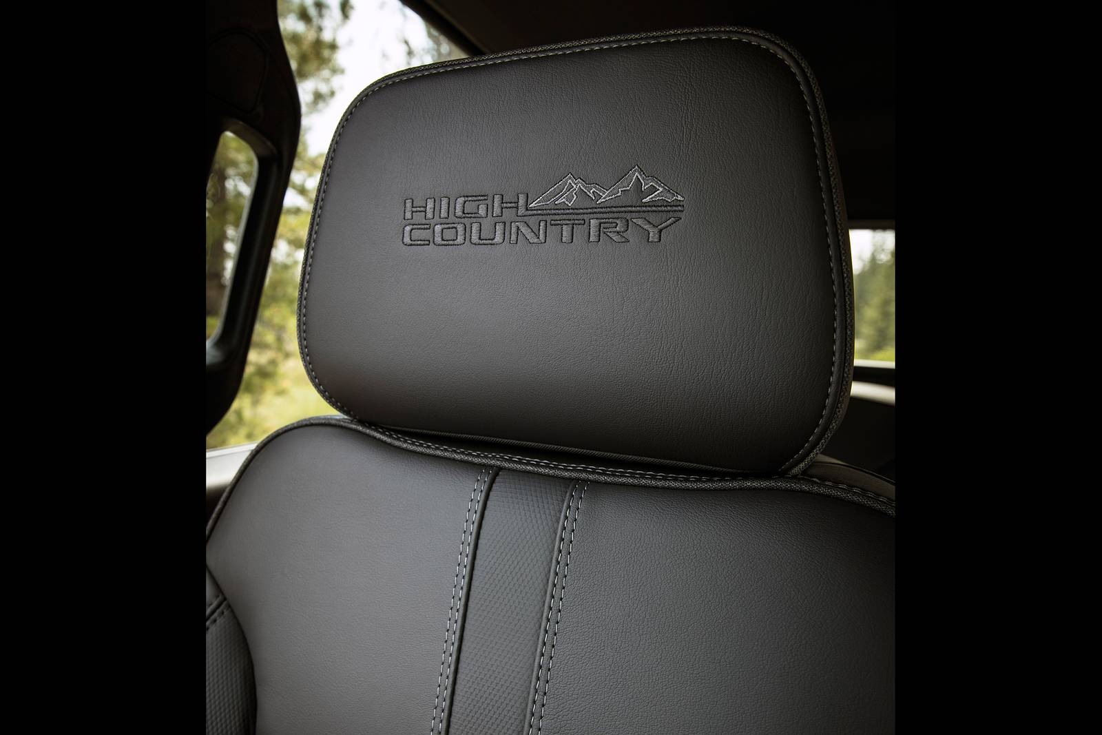 2019 Chevrolet Silverado 1500 front safety DETAIL