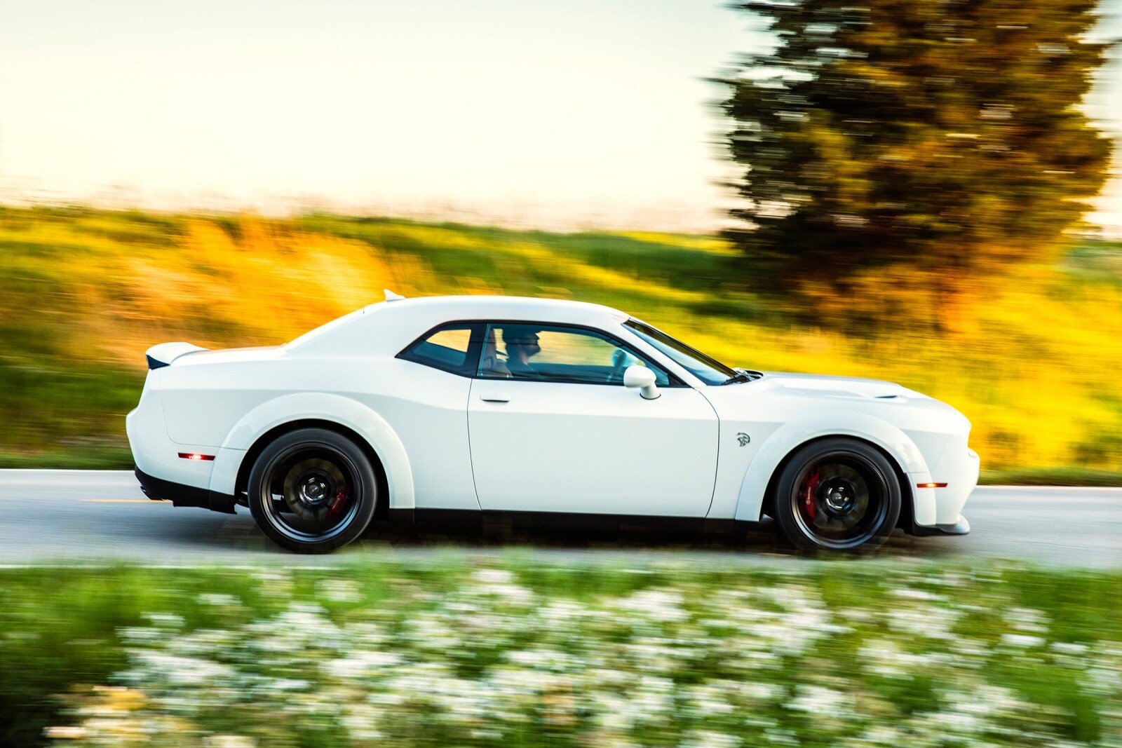2018 Dodge Challenger — OEM photo 3
