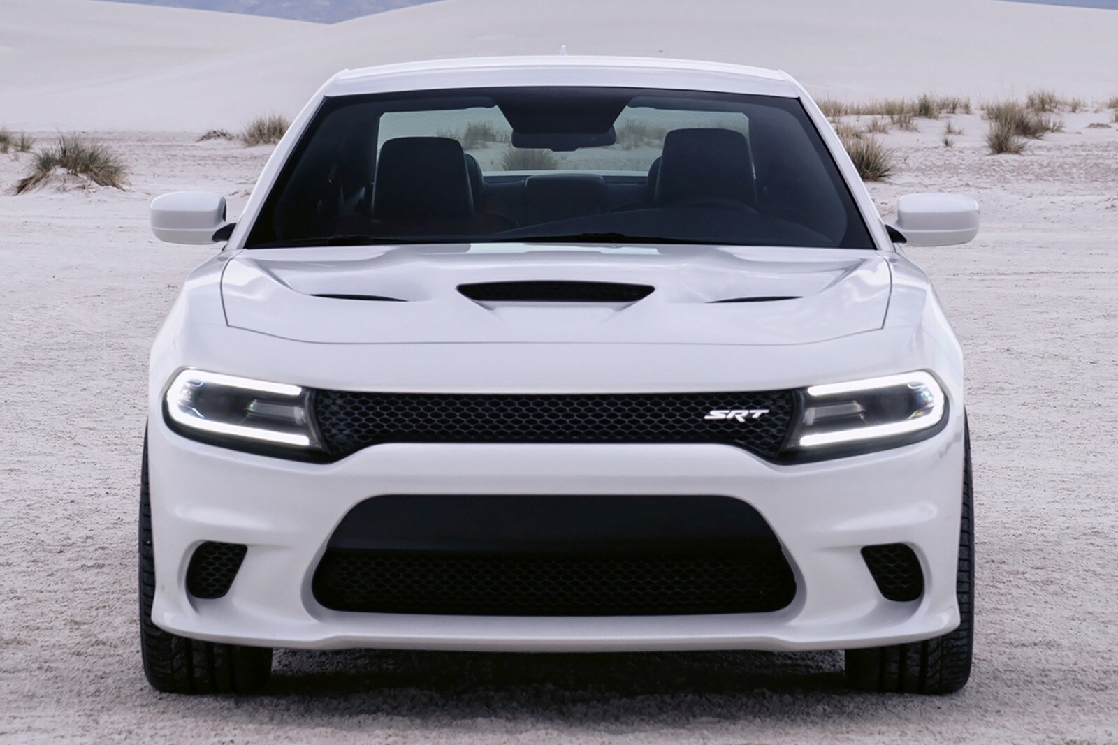 2016 Dodge Charger exterior F