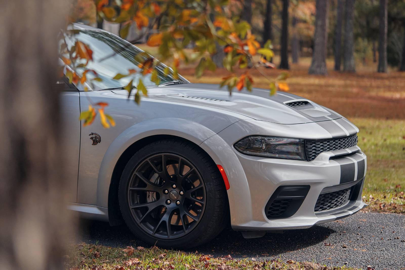 2023 Dodge Charger exterior EDETAIL