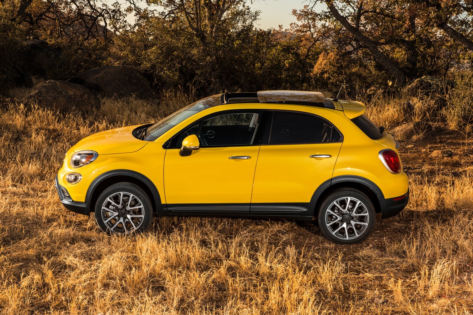 2017 Fiat 500X front safety F
