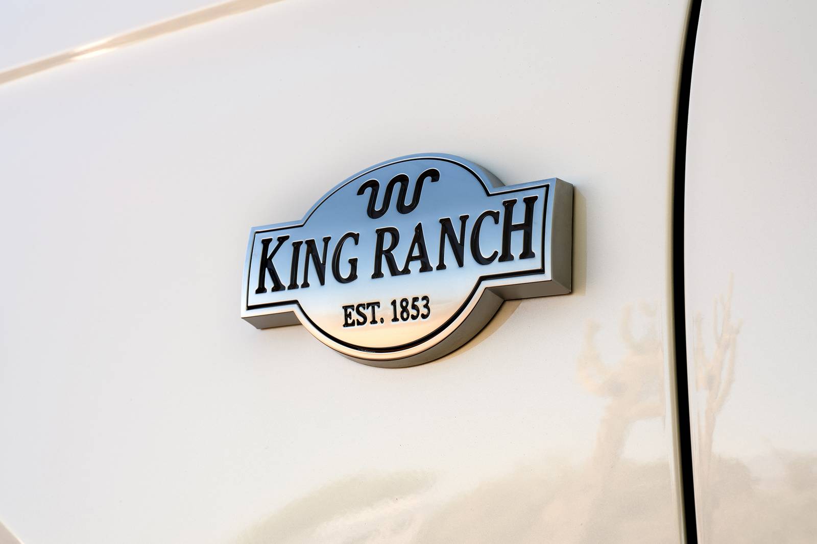 2020 Ford Expedition exterior FBDG