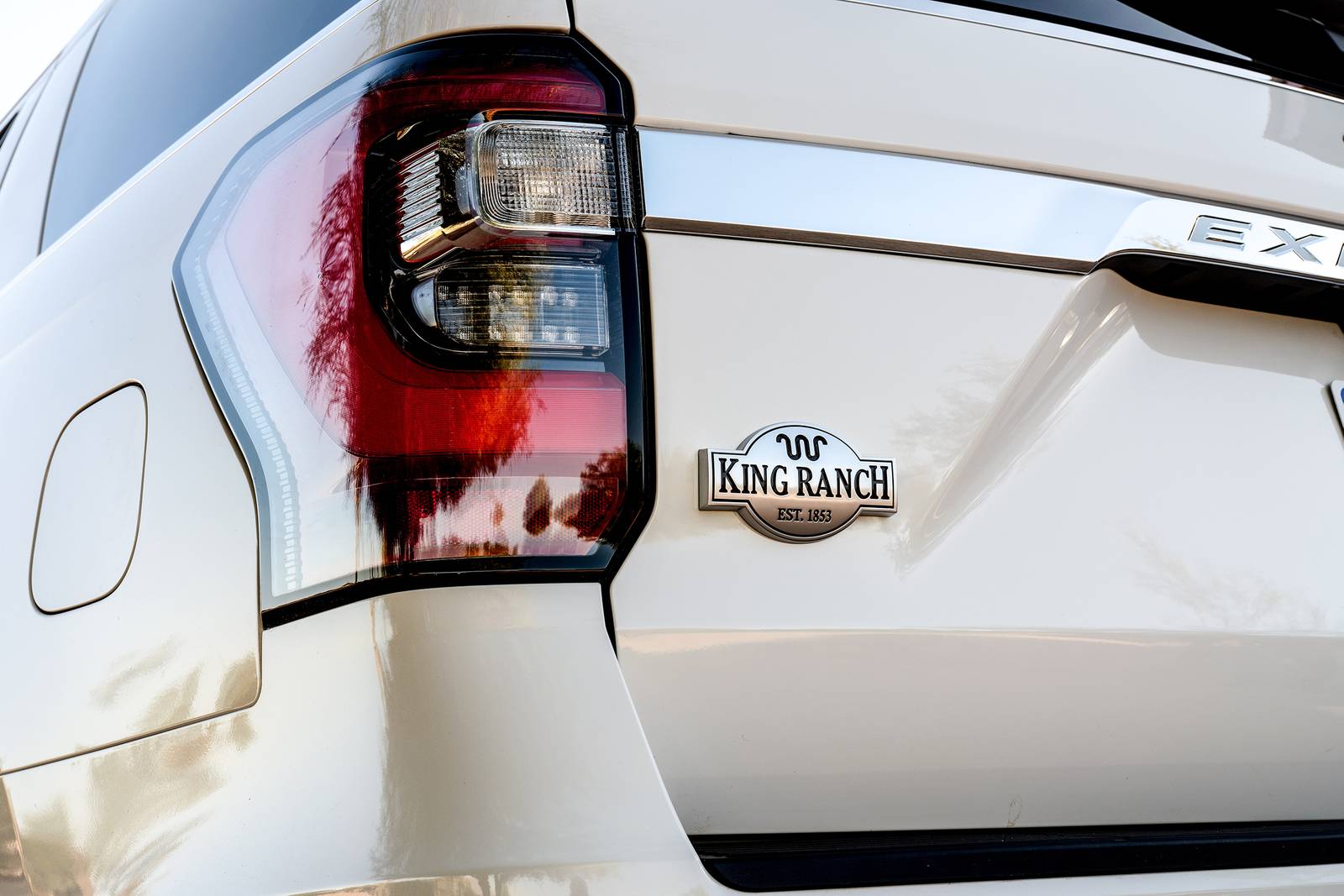 2020 Ford Expedition exterior RBDG