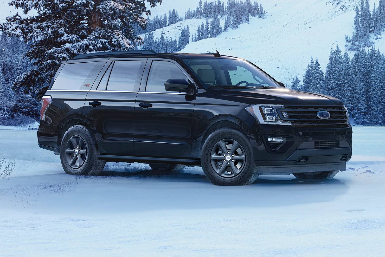 2021 Ford Expedition exterior F