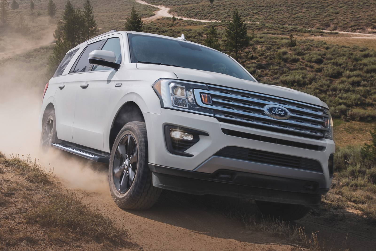 2021 Ford Expedition — OEM photo 3
