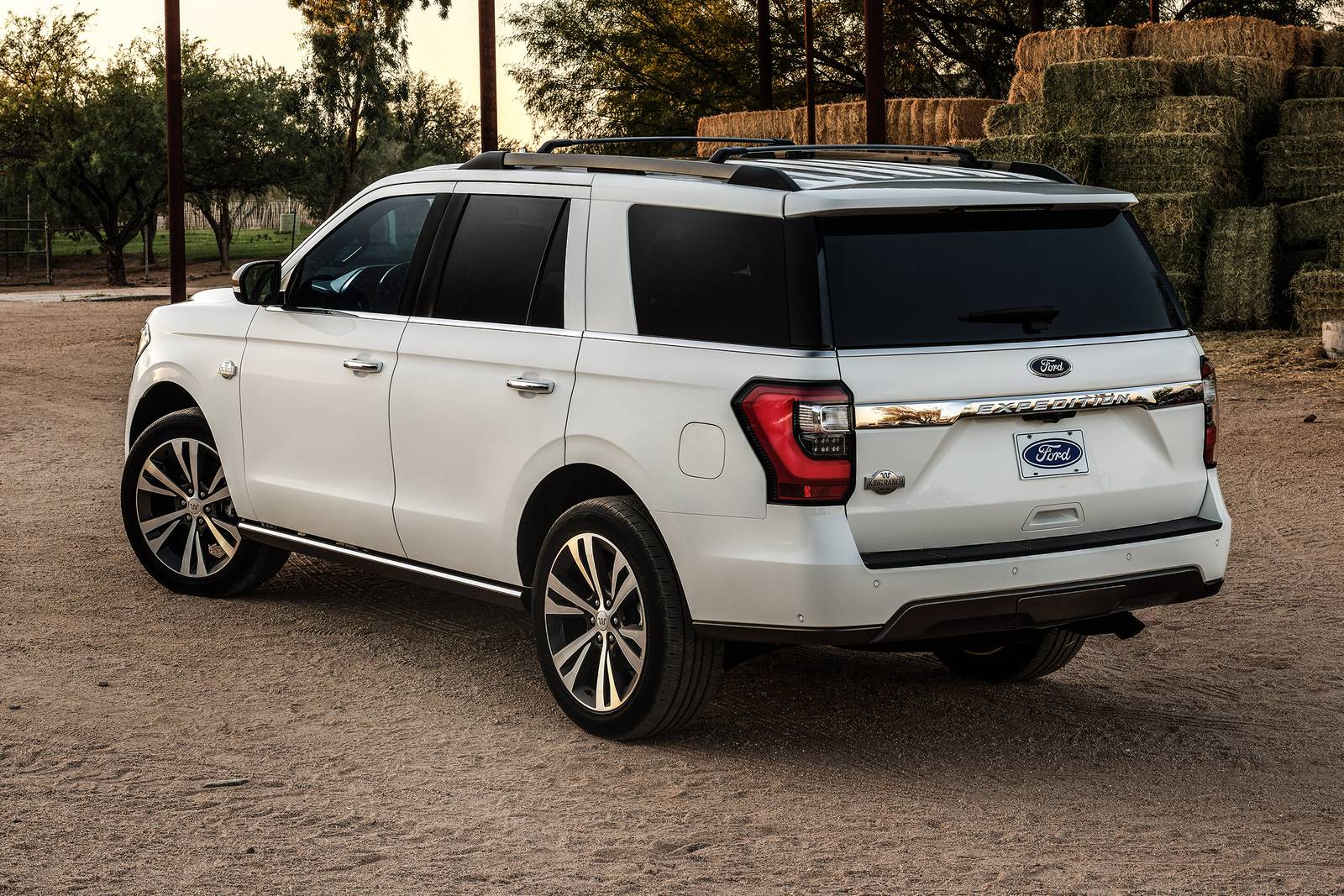 2021 Ford Expedition exterior F