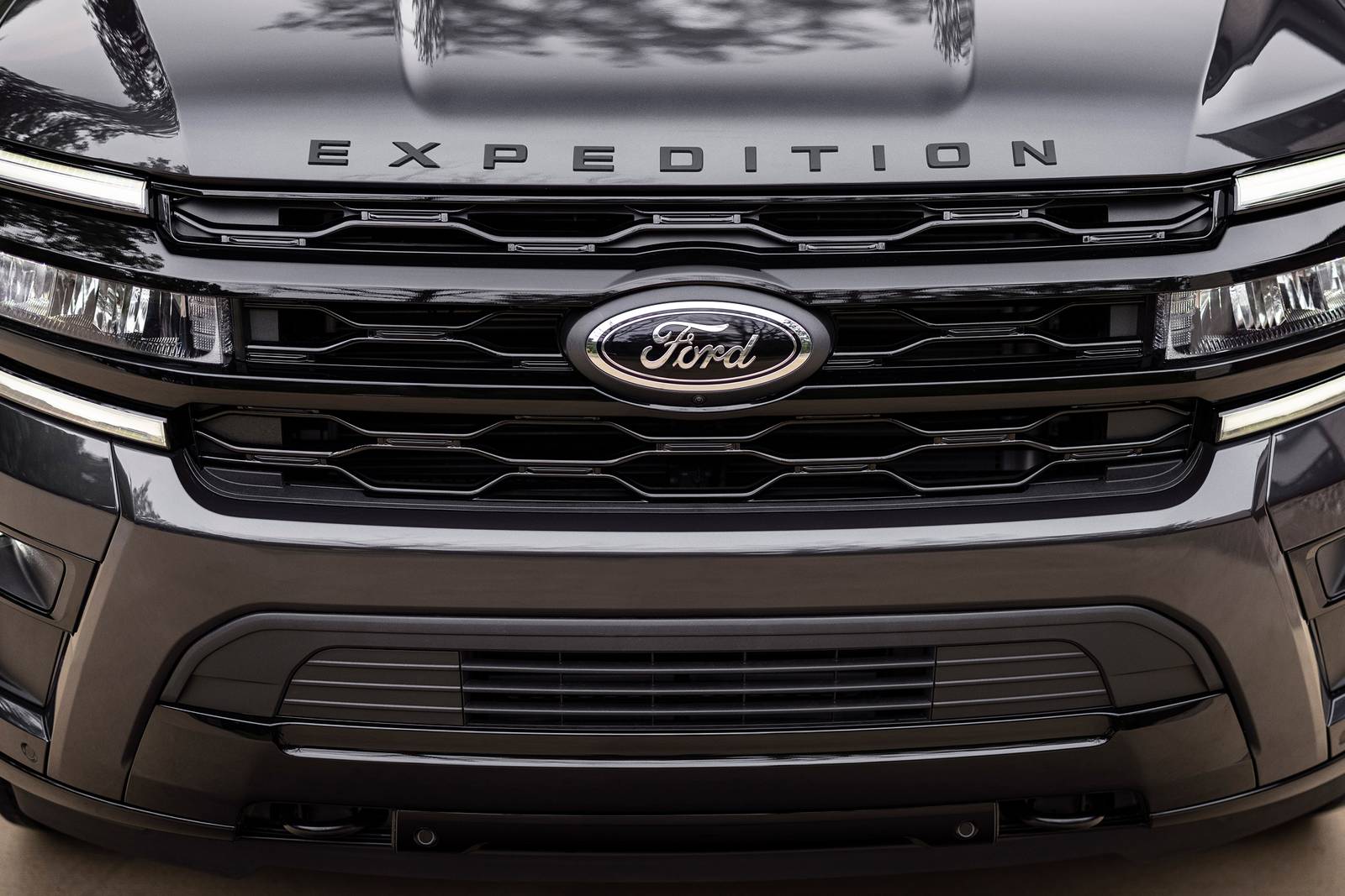 2022 Ford Expedition exterior FBDG