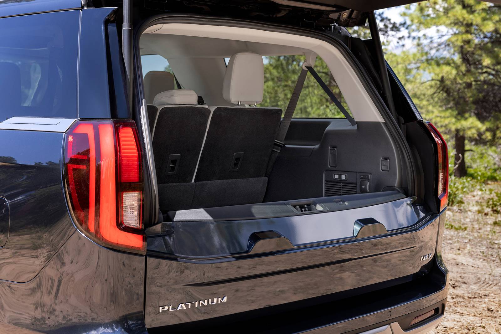 2025 Ford Expedition interior CARGO