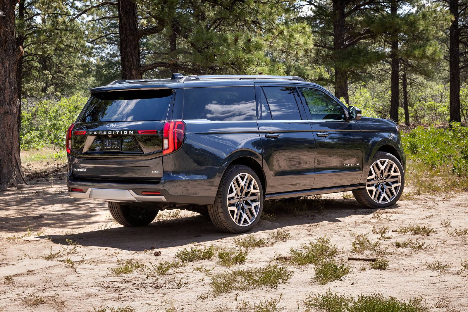 2025 Ford Expedition exterior F