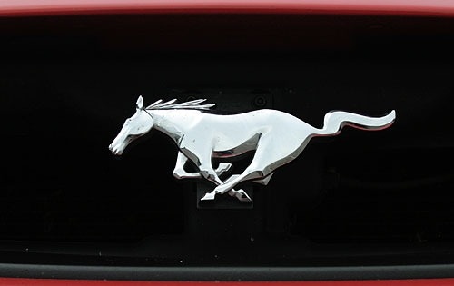 2004 Ford Mustang exterior FBDG