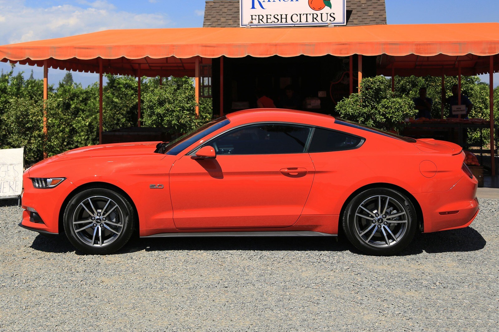2016 Ford Mustang exterior F