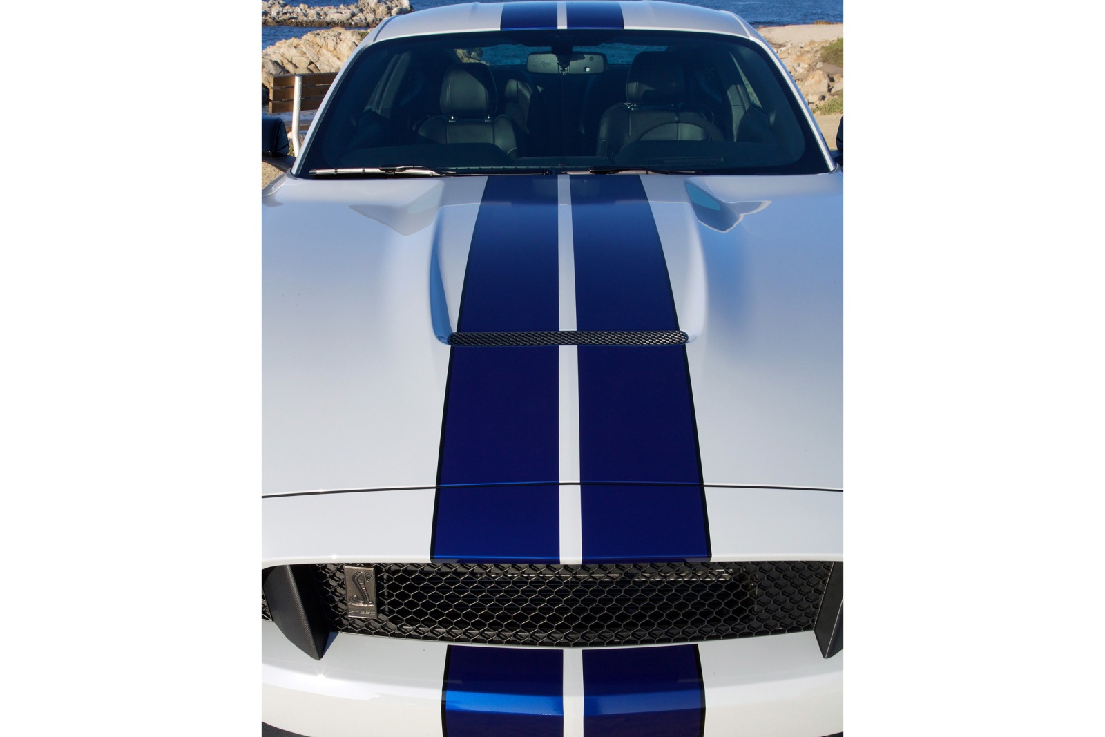 2015 Ford Shelby GT350