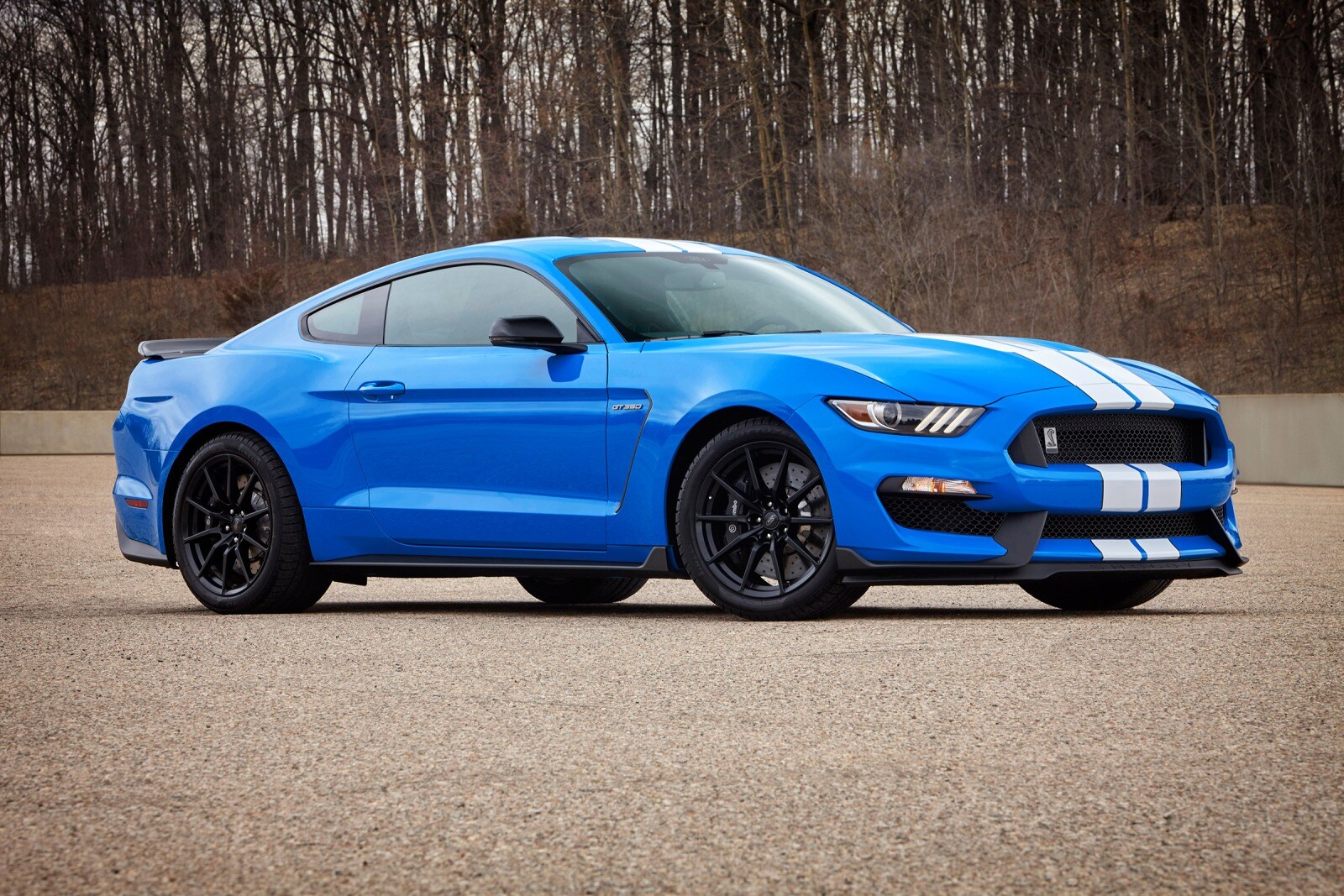 Ford Shelby GT350 Coupe Exterior