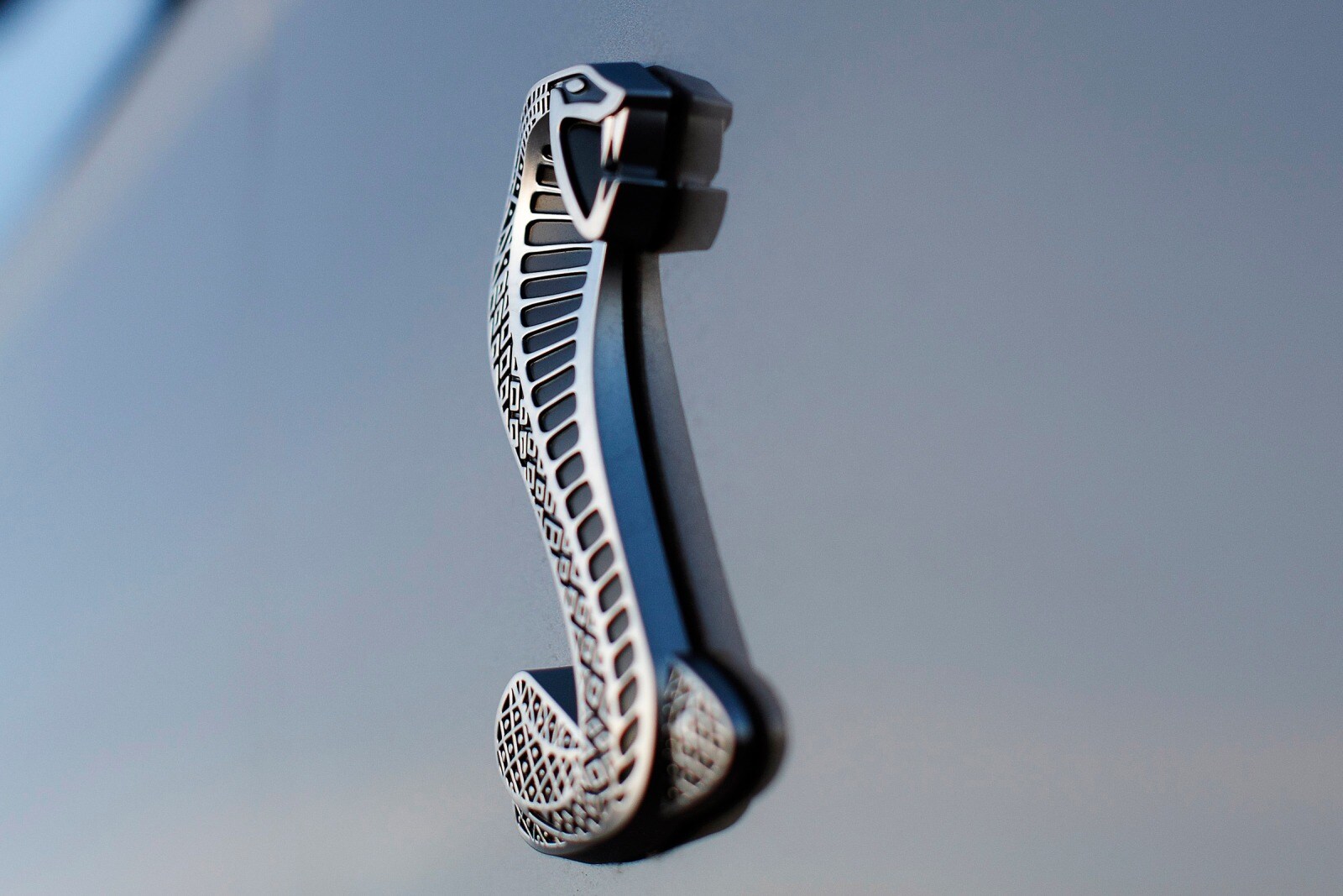 2010 Ford Shelby GT500 exterior EDETAIL