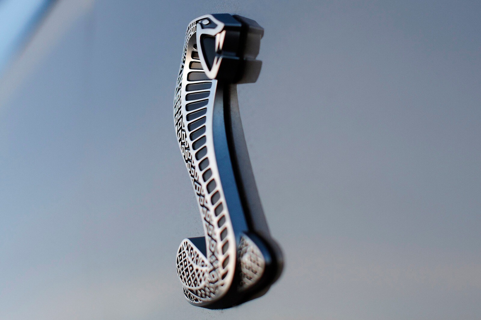 2010 Ford Shelby GT500