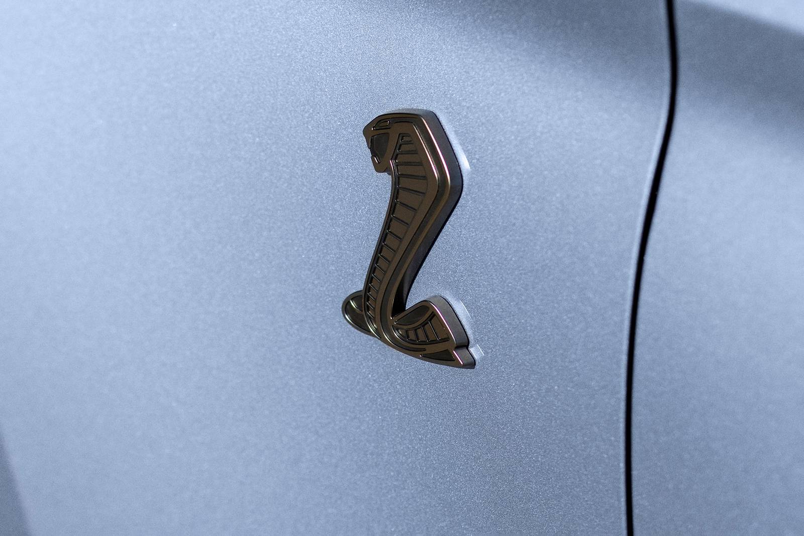 2022 Ford Shelby GT500 exterior EDETAIL