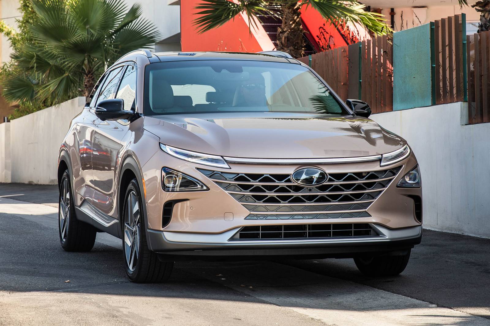 2019 Hyundai NEXO exterior F