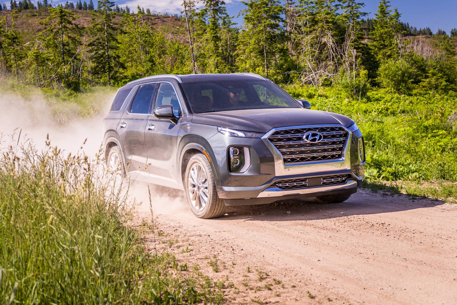 2020 Hyundai Palisade — OEM photo 4
