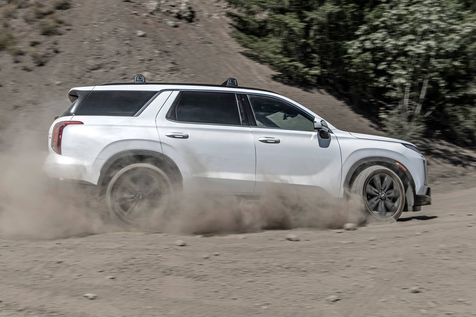 2025 Hyundai Palisade exterior S