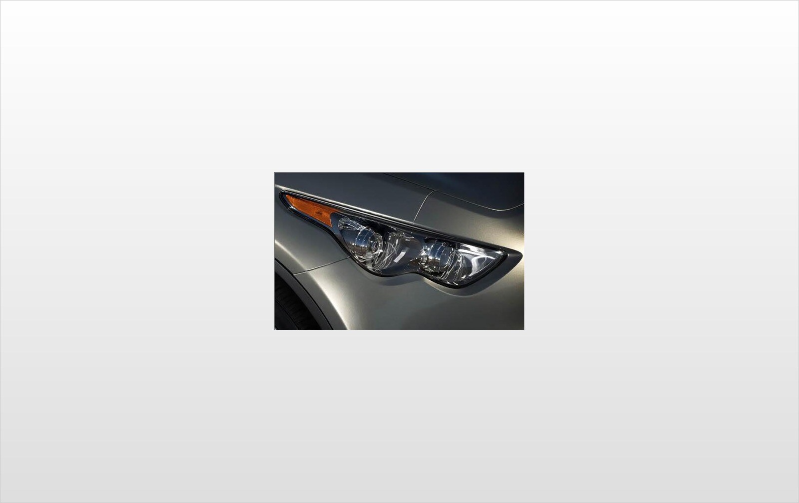 2009 INFINITI FX50 exterior EDETAIL