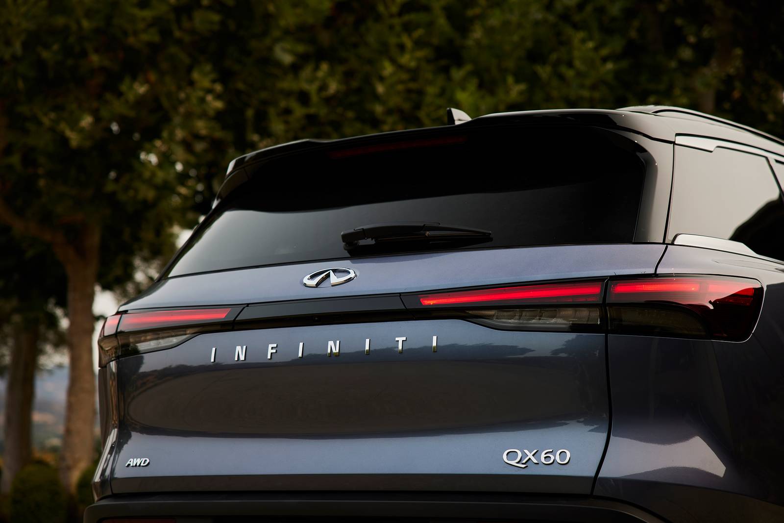 2022 Infiniti Qx60 exterior RBDG