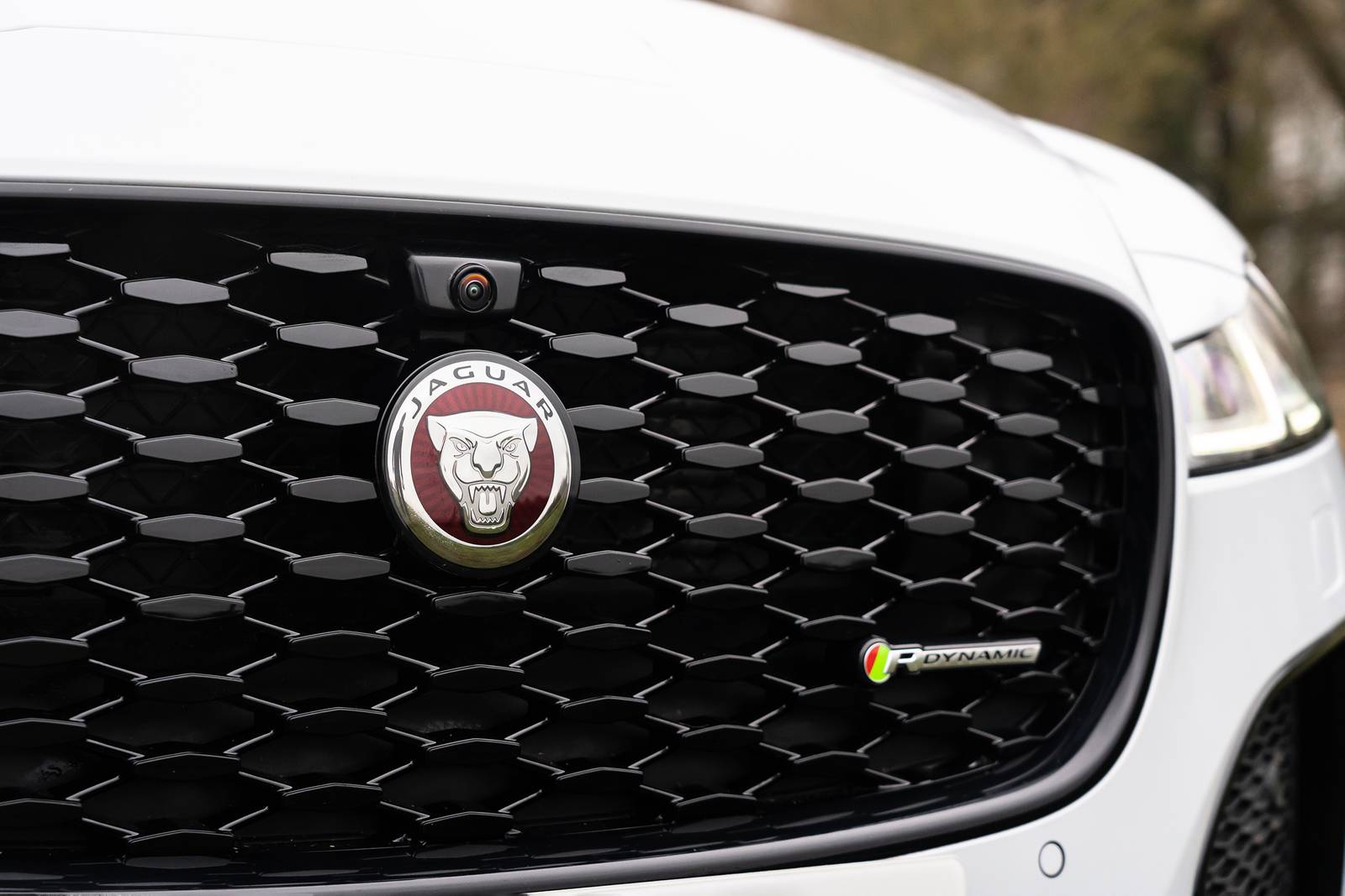 2021 Jaguar Xf exterior FBDG