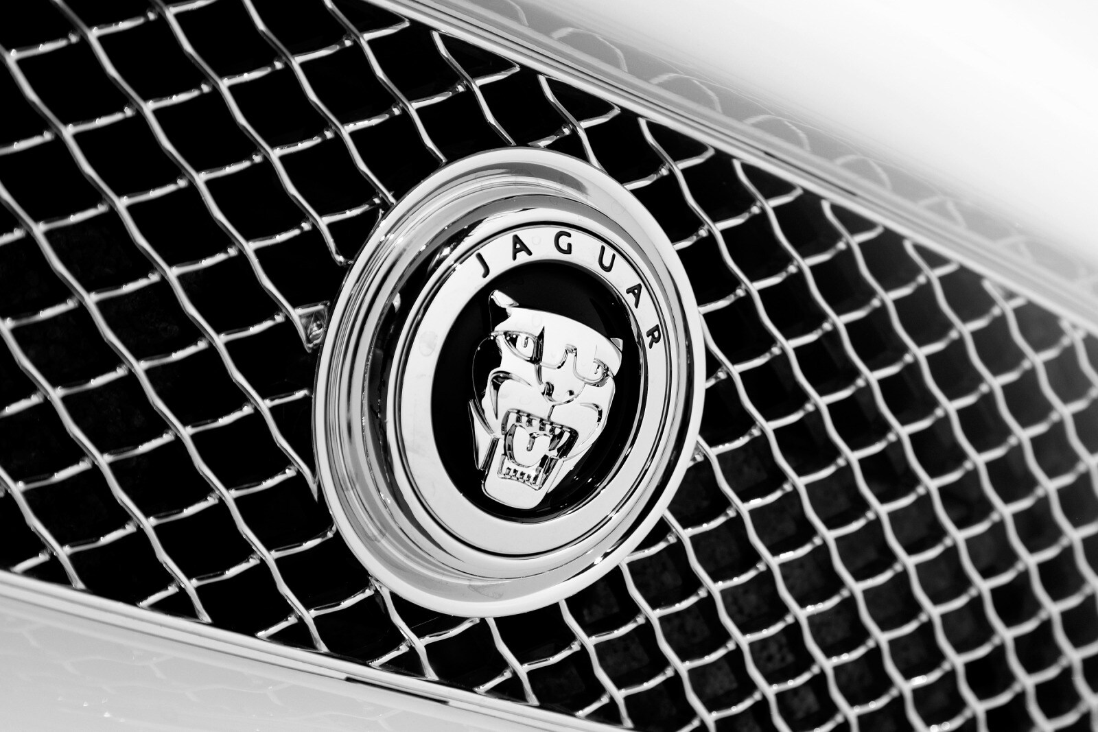 2010 Jaguar XK exterior FBDG