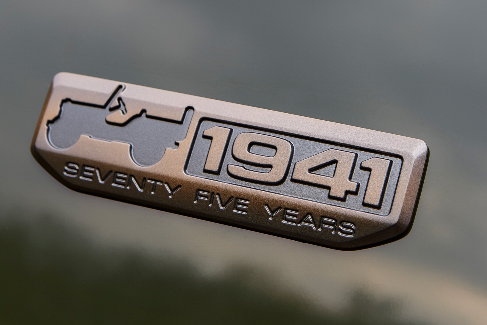 2016 Jeep Wrangler front safety FBDG