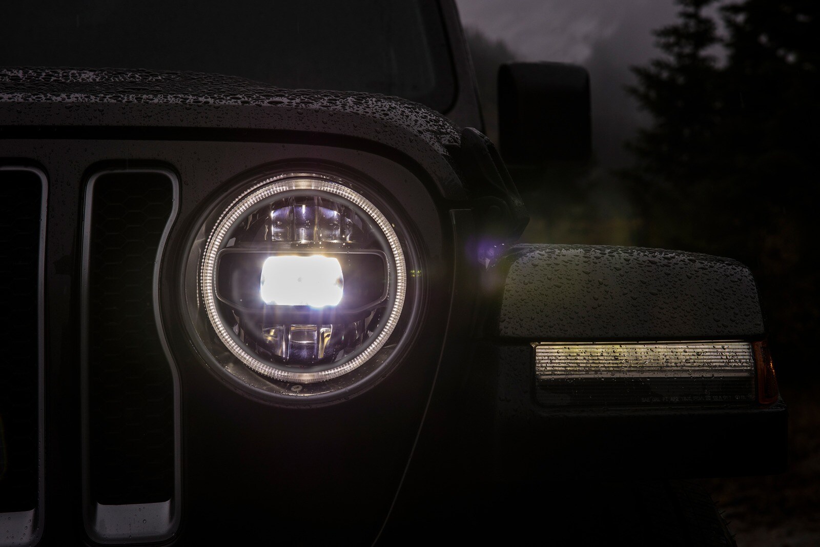 2018 Jeep Wrangler exterior EDETAIL