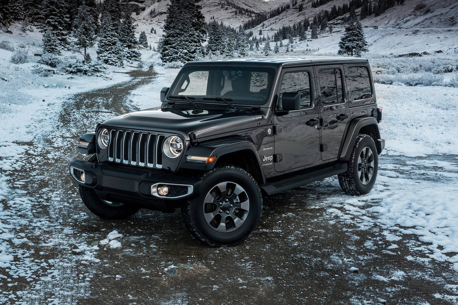 2019 Jeep Wrangler exterior FQ