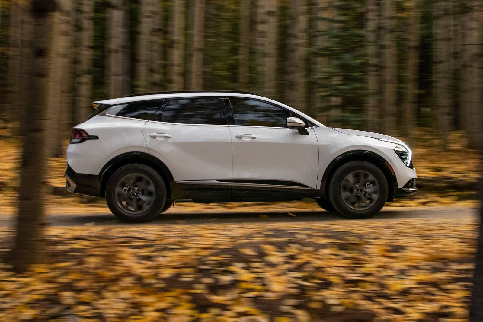 2023 Kia Sportage exterior S