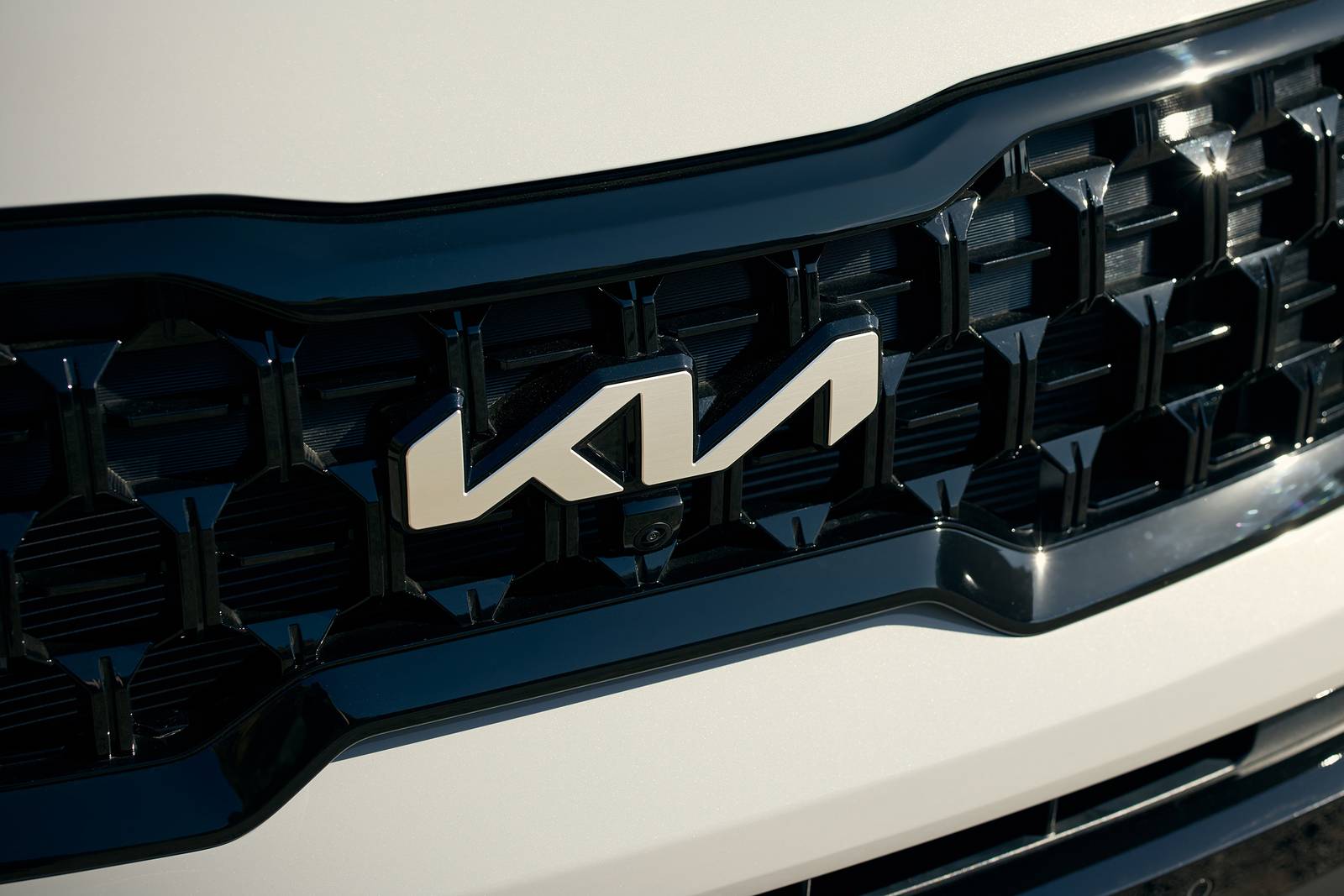 2025 Kia Telluride front safety FBDG