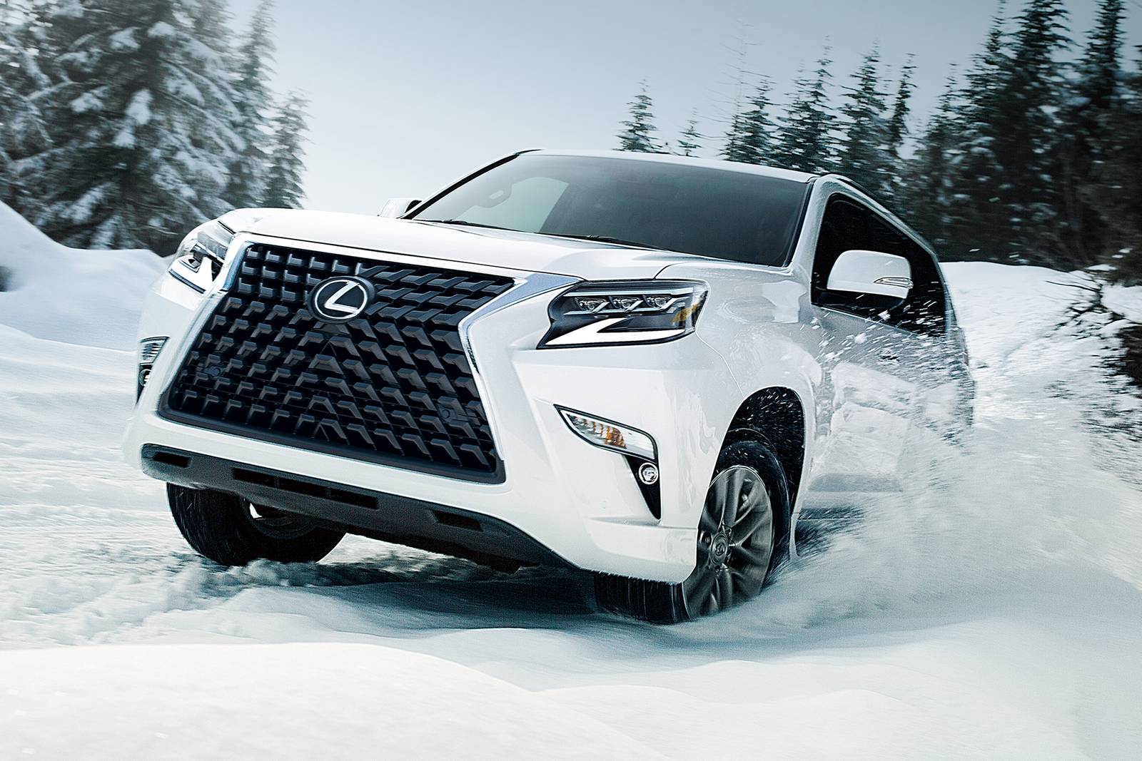 2023 Lexus GX 460 exterior LIFE1