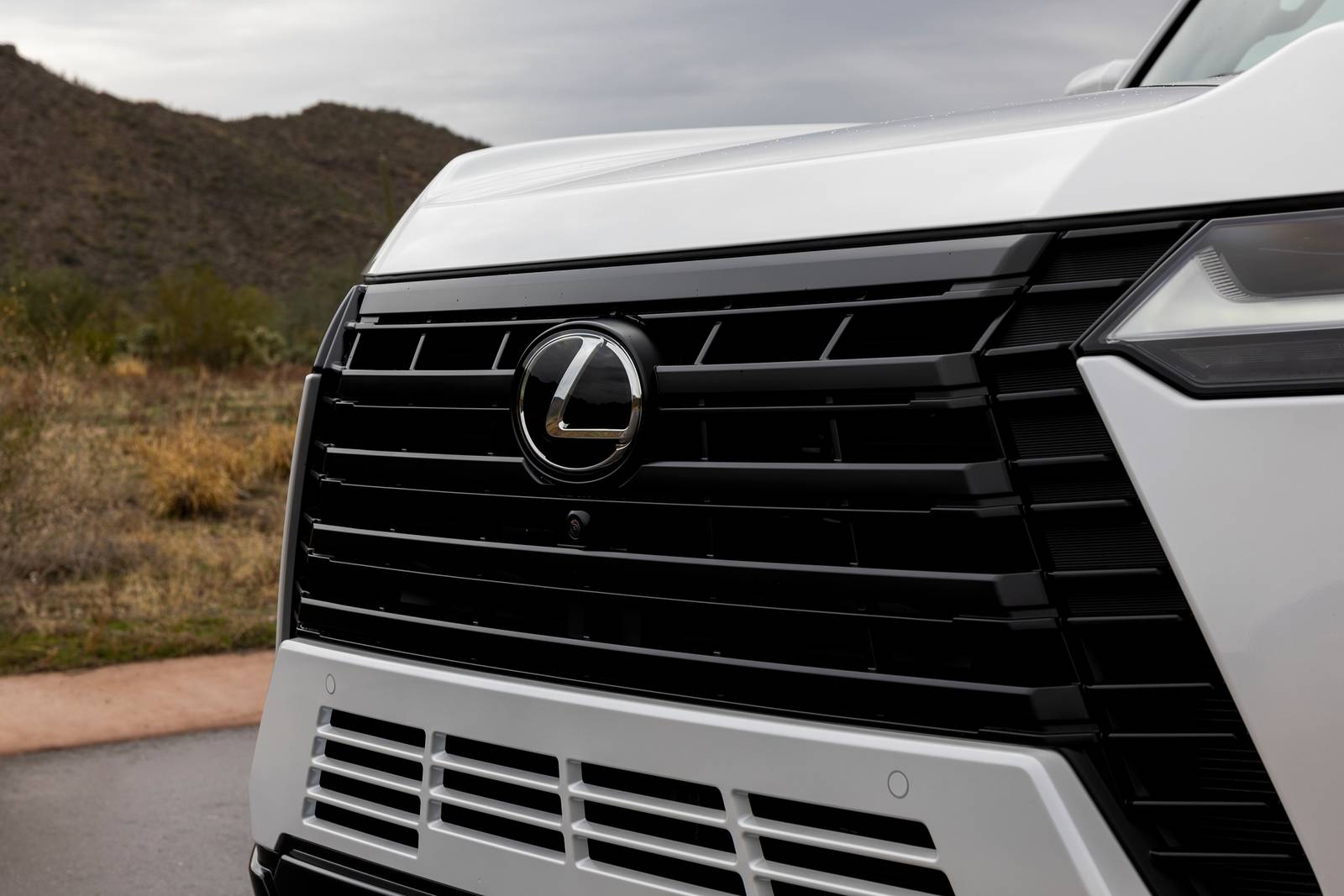 2025 Lexus Gx exterior FBDG